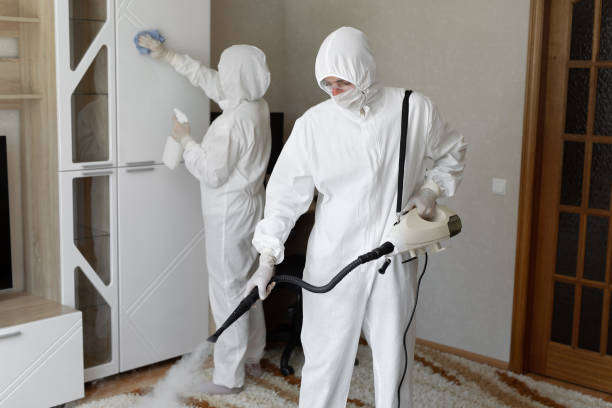 Best Mold Damage Repair  in Pinckney, MI