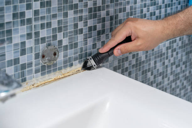 Best Mold Testing  in Pinckney, MI