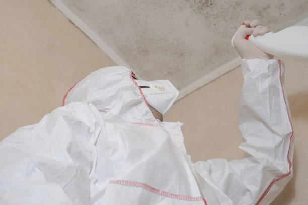 Best Toxic Mold Removal  in Pinckney, MI